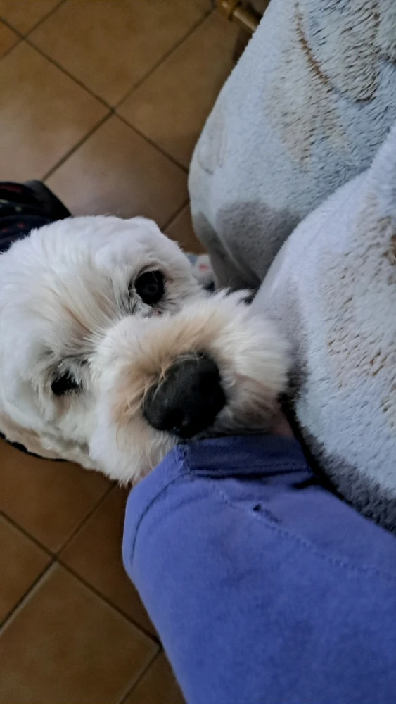 GIF subido por Dayana