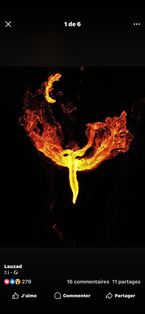 Image ajoutée par Fab