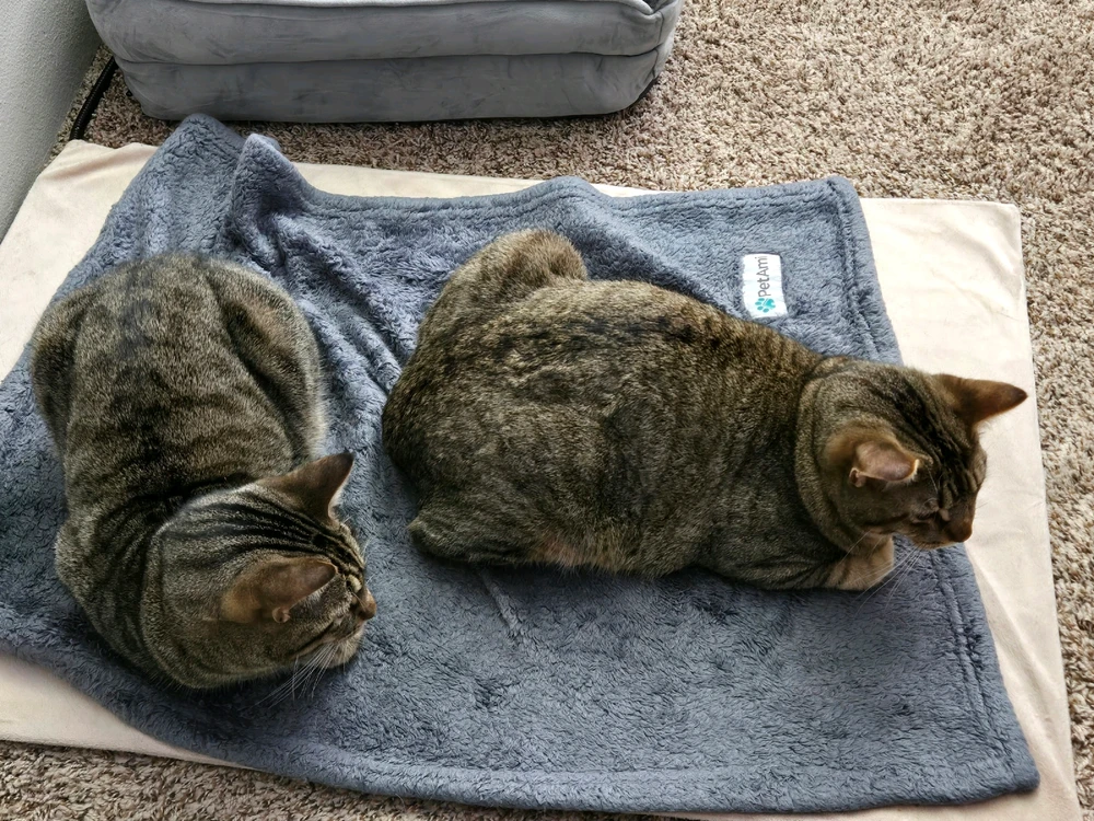 GIF uploaded by Matthew