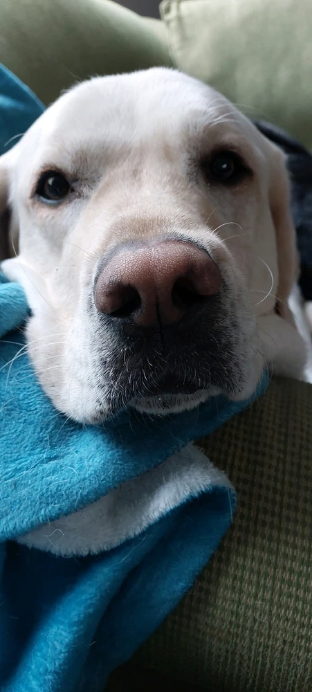 GIF uploaded by Alex