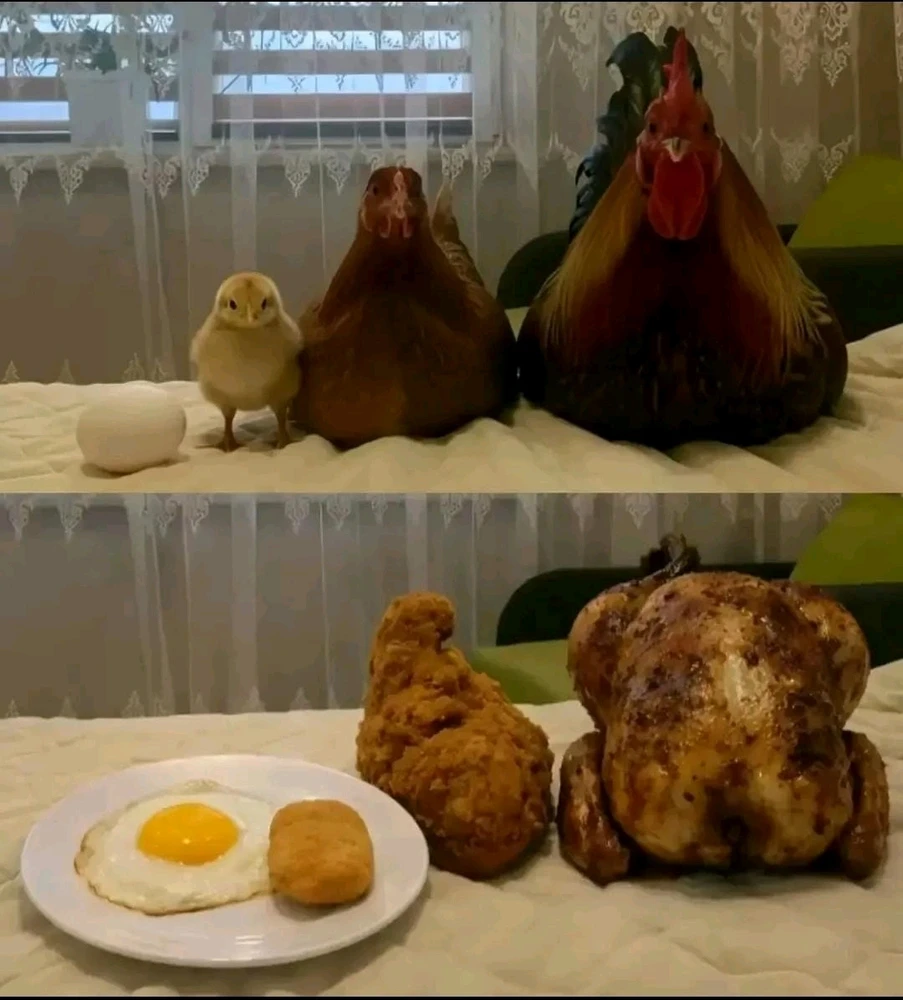 GIF caricata da Daniela