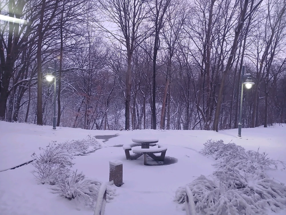 Axelがアップロードした画像