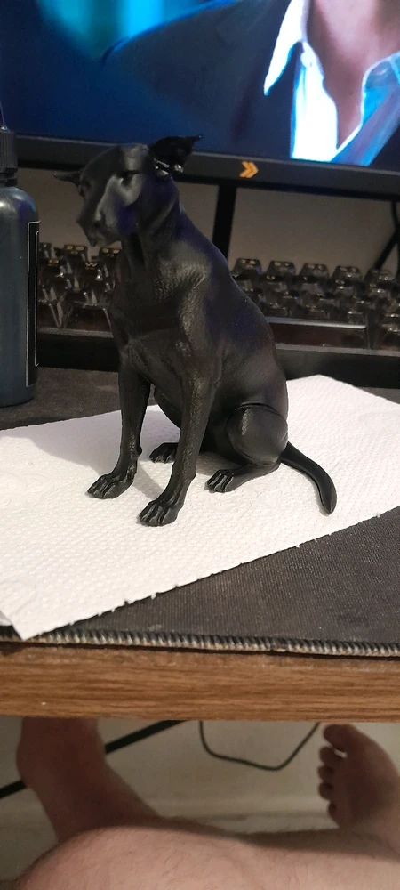 Imagem enviada por Gambit