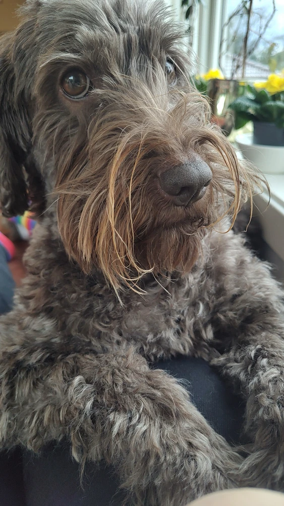 GIF uploaded by Hanne