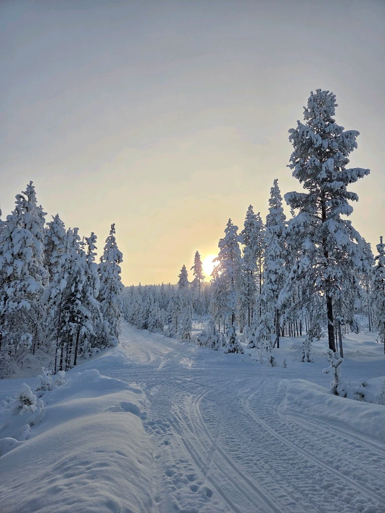 GIF uploaded by Aurora