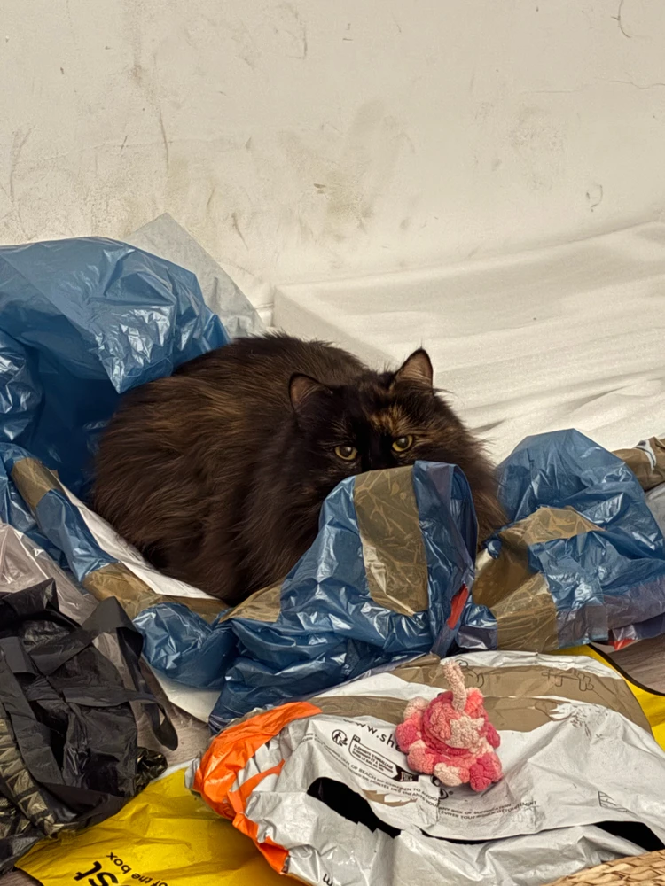 Image uploaded by Irena