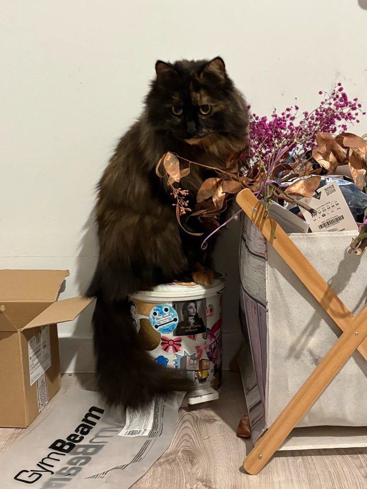 Image uploaded by Irena