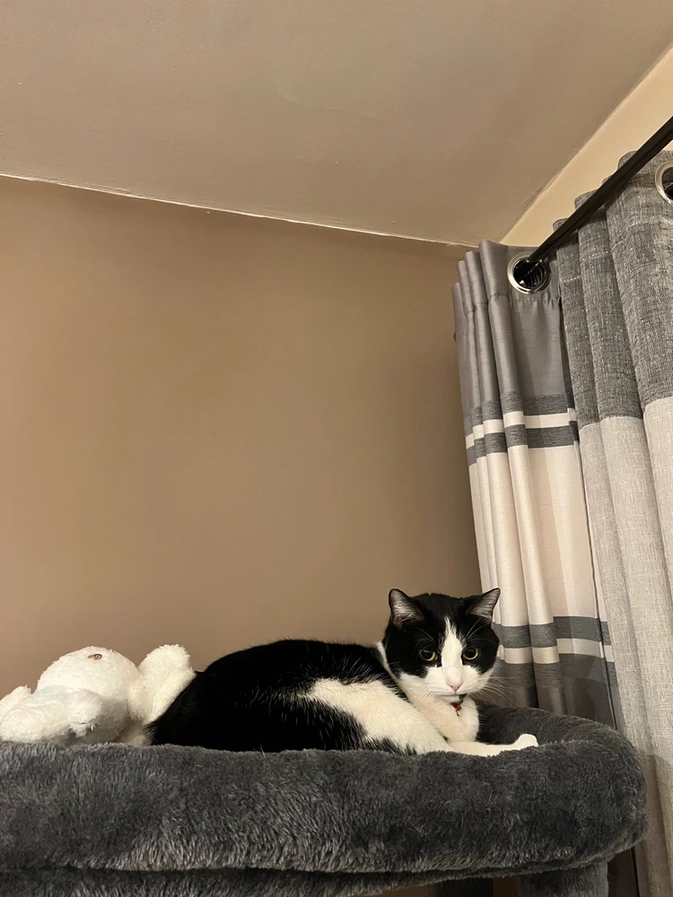 Image ajoutée par Monica