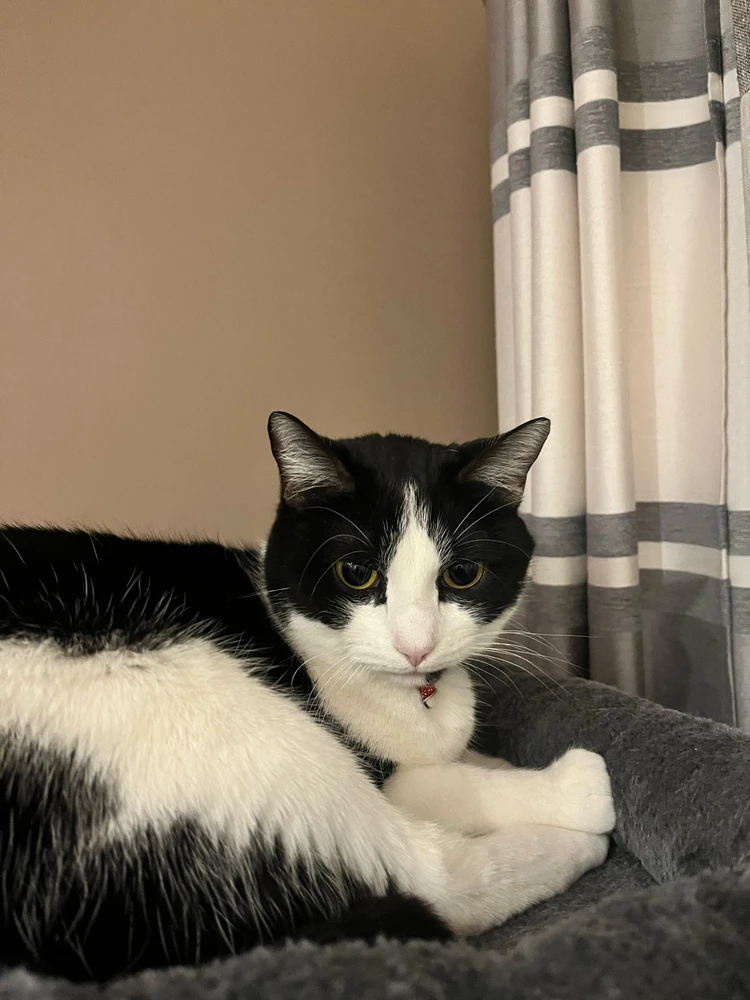 Image ajoutée par Monica