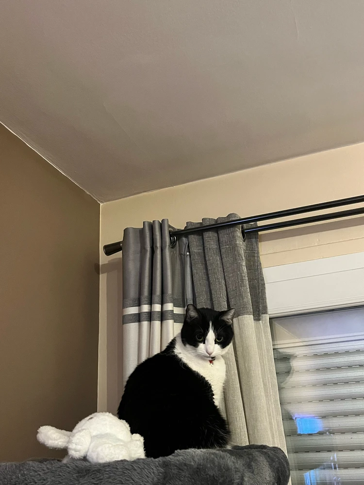 Image ajoutée par Monica