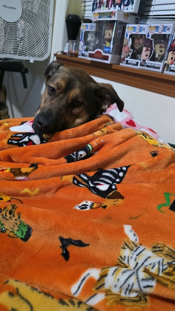 Image uploaded by Ally