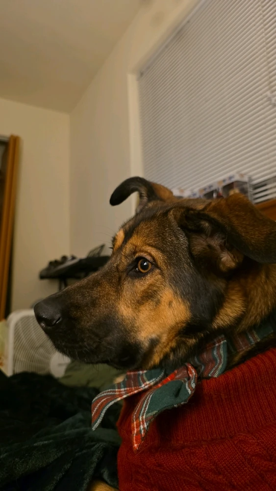 Image uploaded by Ally