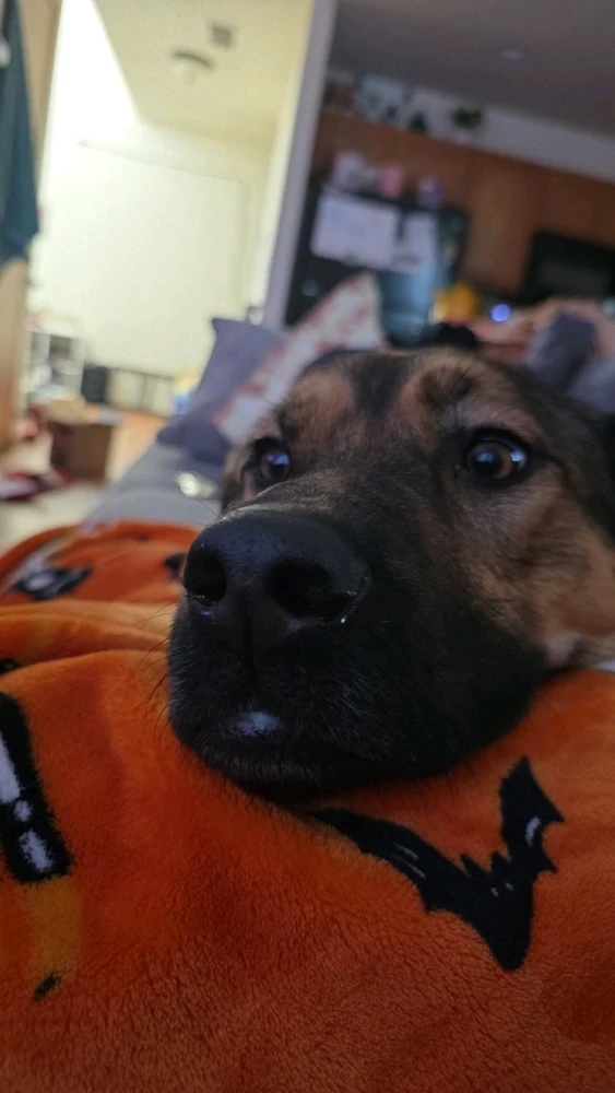 Image uploaded by Ally