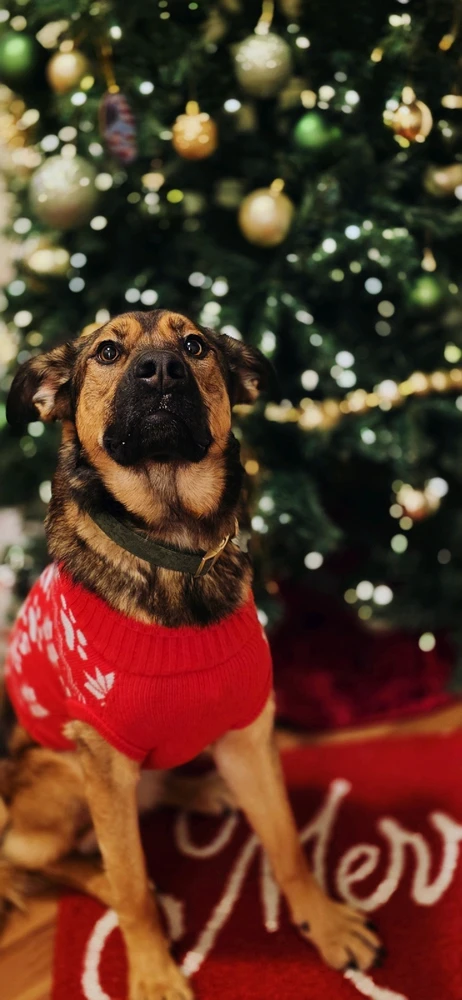 Image uploaded by Ally