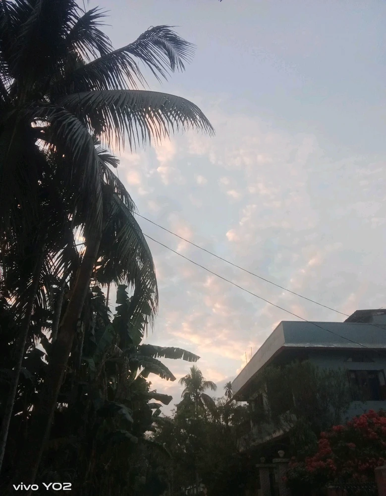 GIF uploaded by Anisha