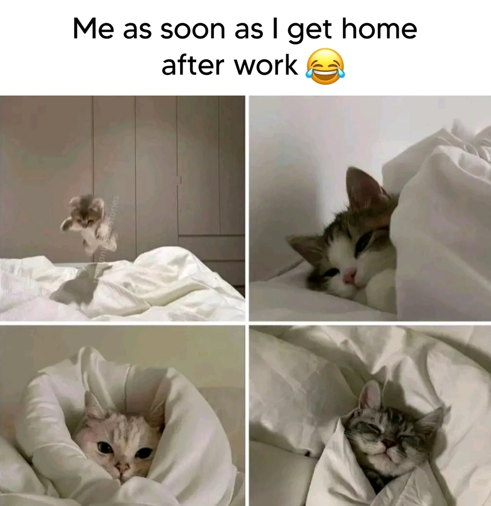 GIF uploaded by Germano