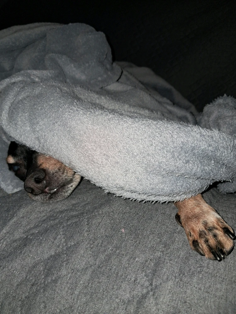 Image ajoutée par Angélique