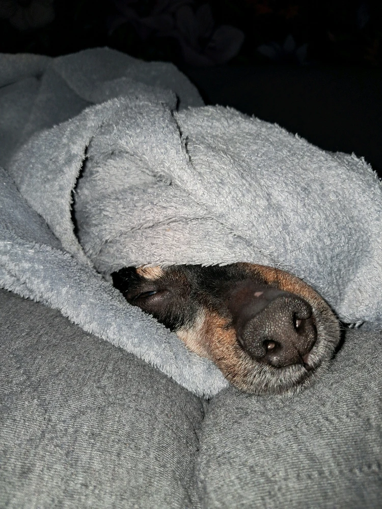 Image ajoutée par Angélique