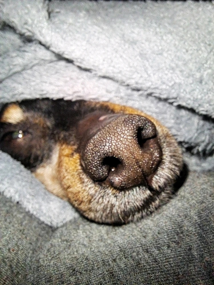 Image ajoutée par Angélique