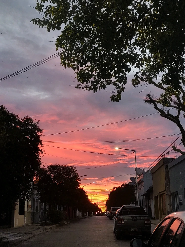 Image uploaded by Denise