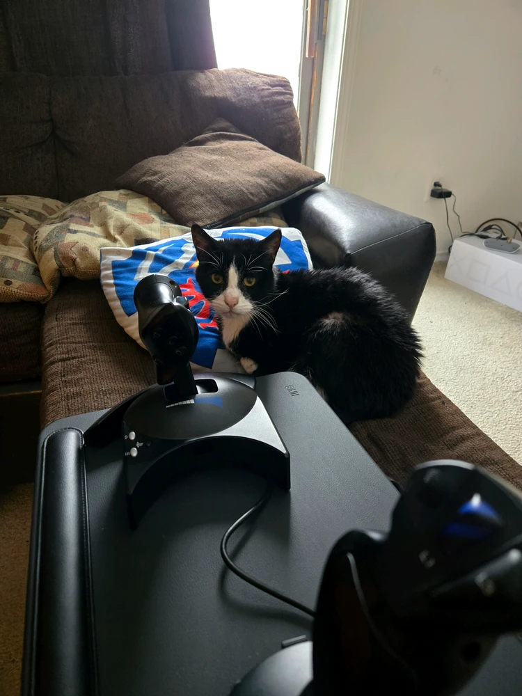 GIF uploaded by John