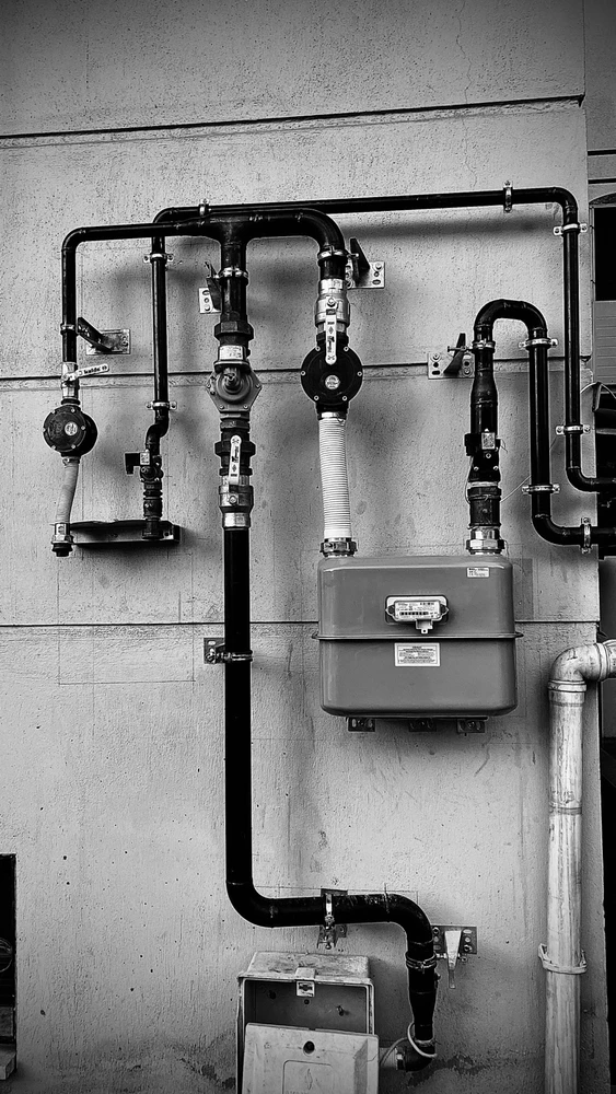 Talha tarafından yüklenen görsel