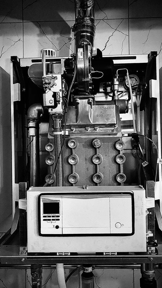 Talha tarafından yüklenen görsel