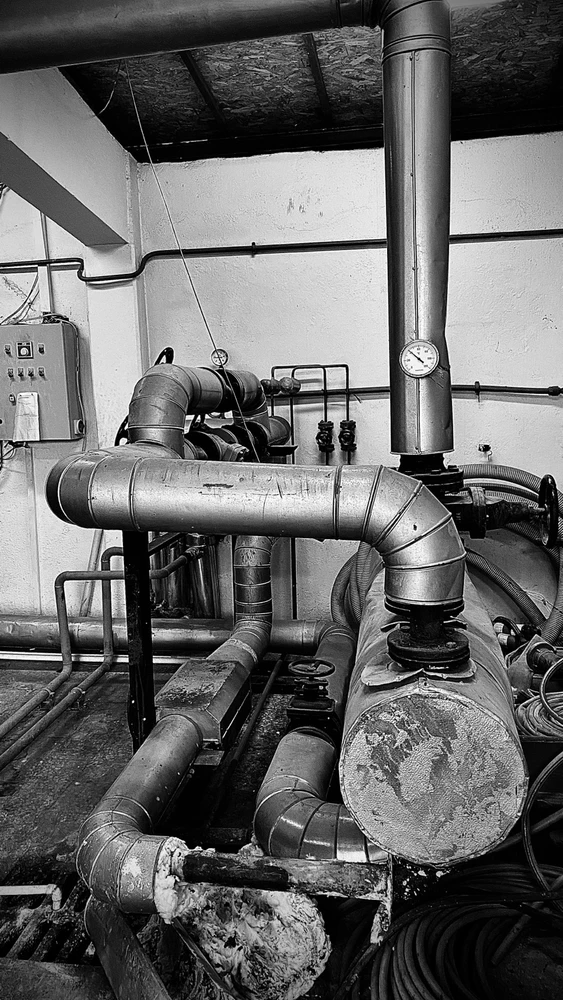 Talha tarafından yüklenen görsel