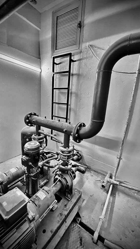 Talha tarafından yüklenen görsel