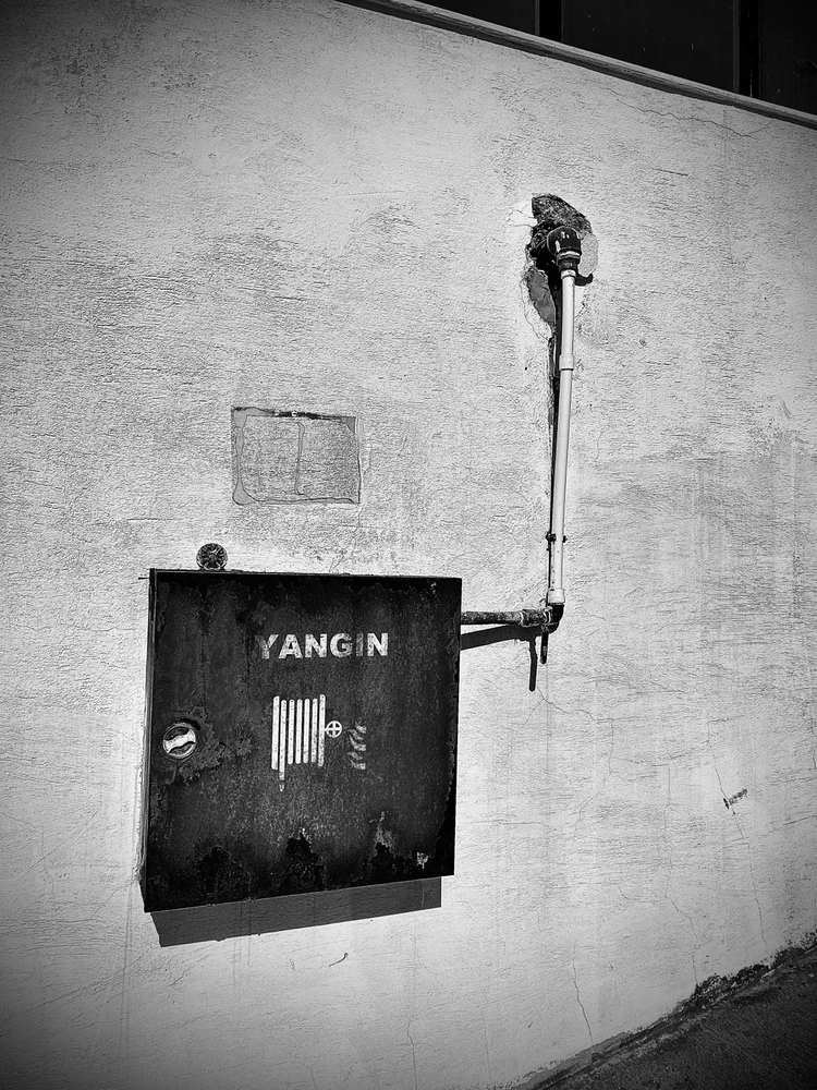 Talha tarafından yüklenen görsel