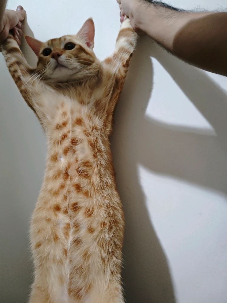 GIF uploaded by Rizwan