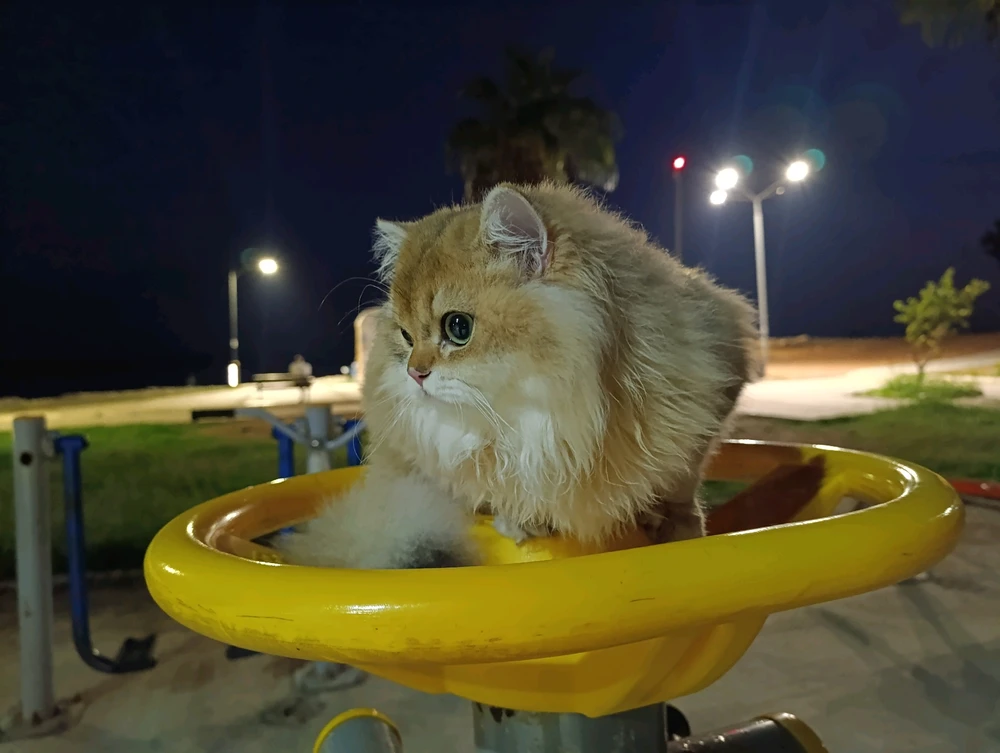 Ömür tarafından yüklenen görsel