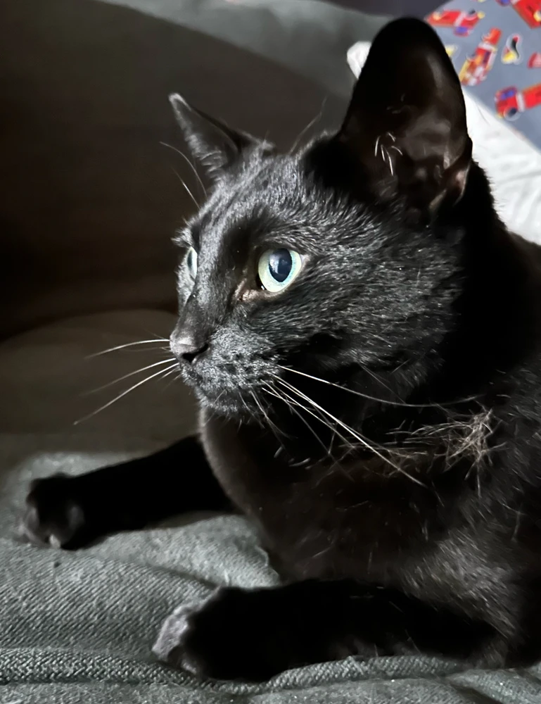 Image uploaded by David