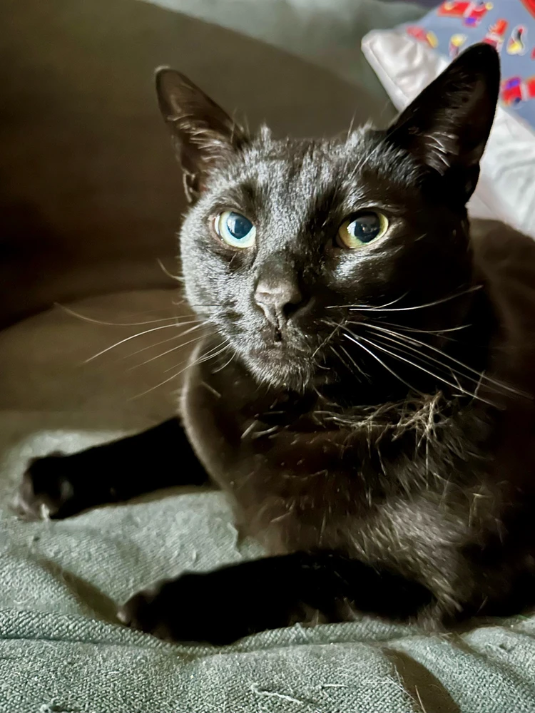 Image uploaded by David