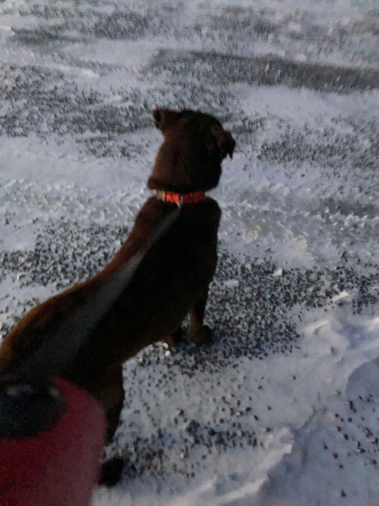 Image uploaded by Otaku