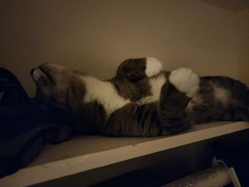 Gambar diunggah dening Dean