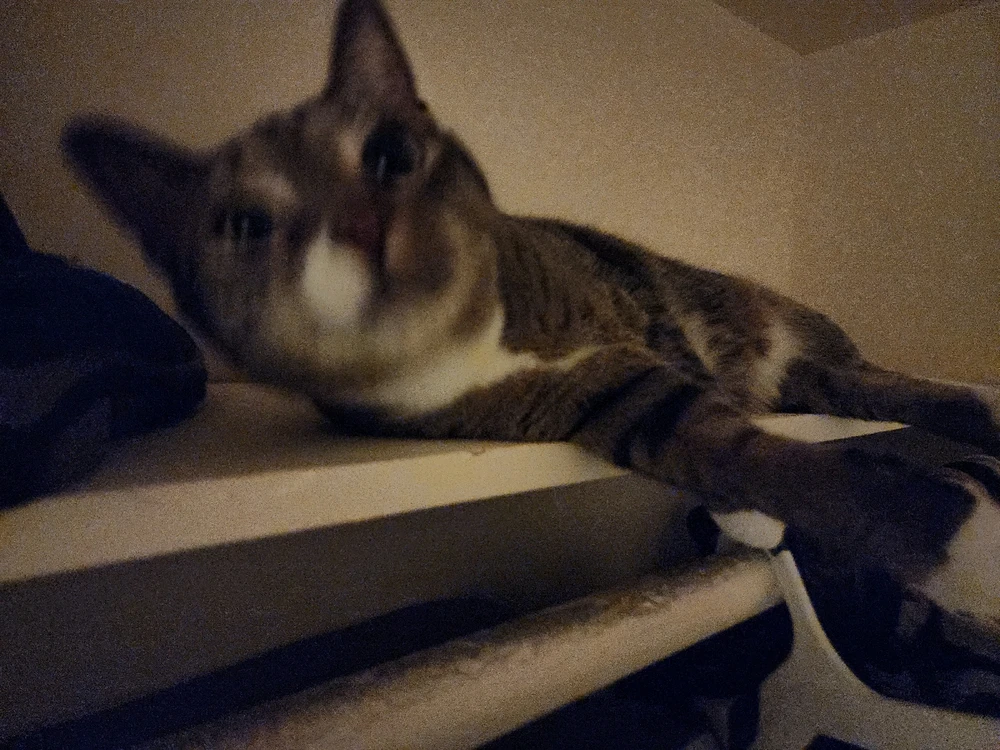 Gambar diunggah dening Dean