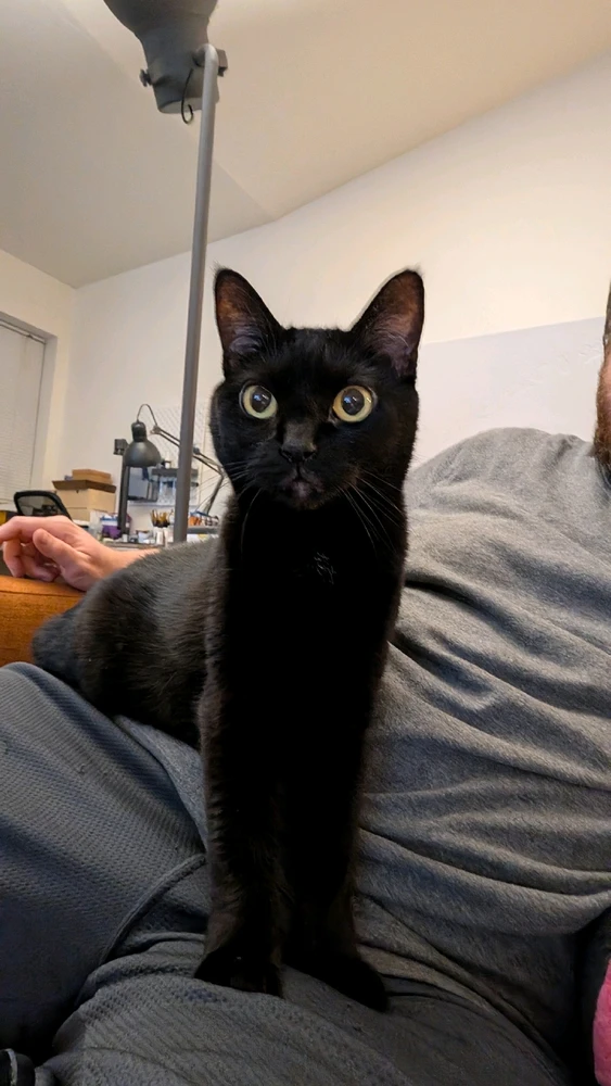 GIF uploaded by Paulie