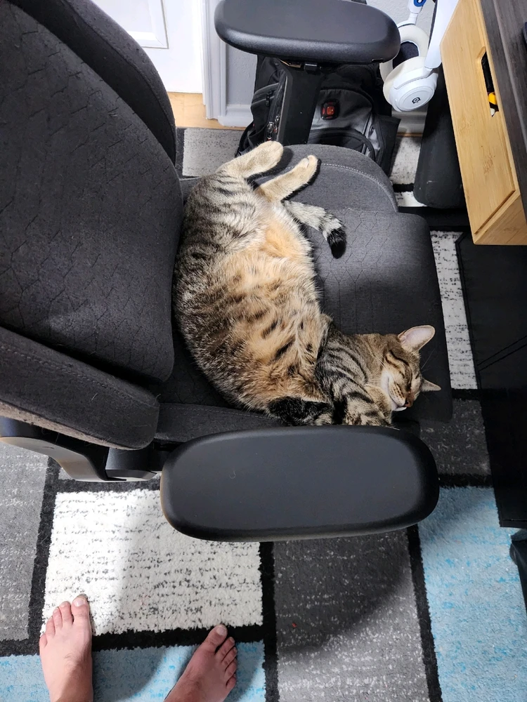 GIF uploaded by Alex