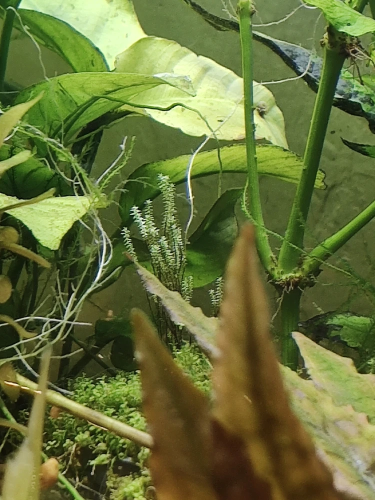 GIF uploaded by Leylan