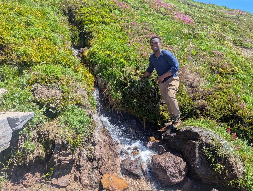 Image uploaded by Nat