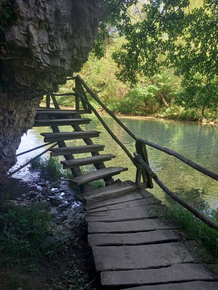 Качено от Zdravko