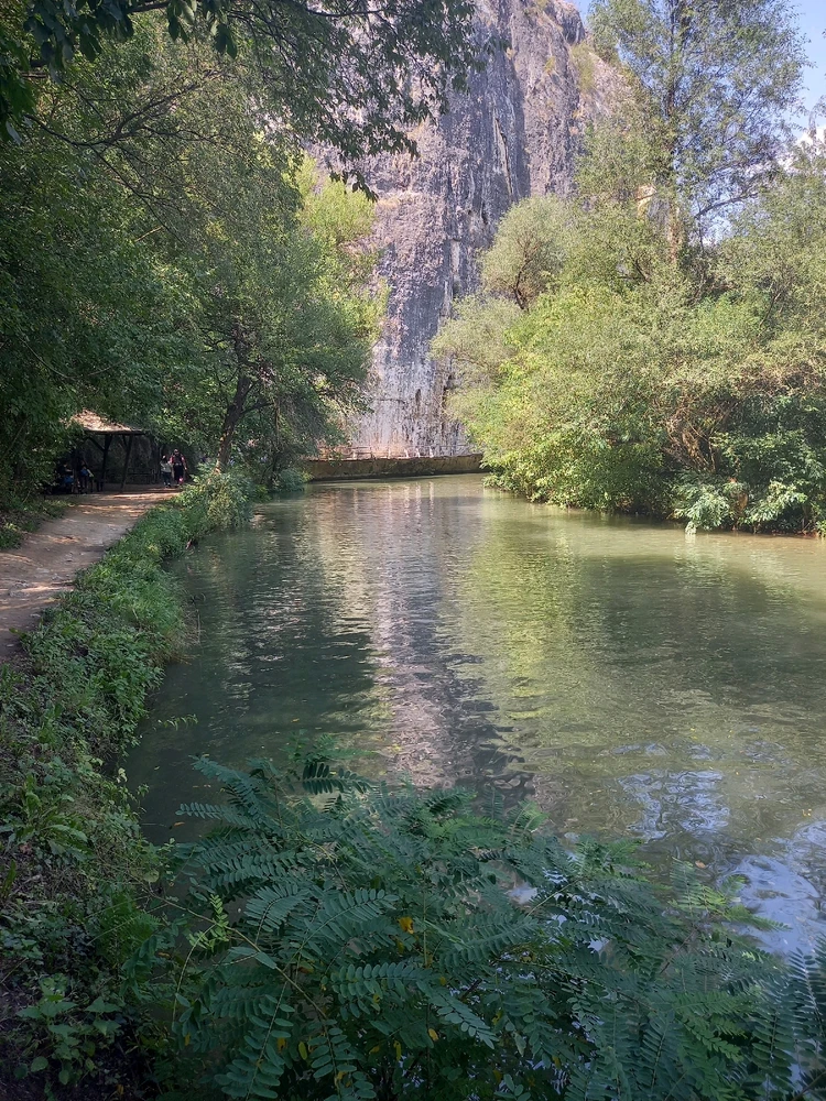 Качено от Zdravko