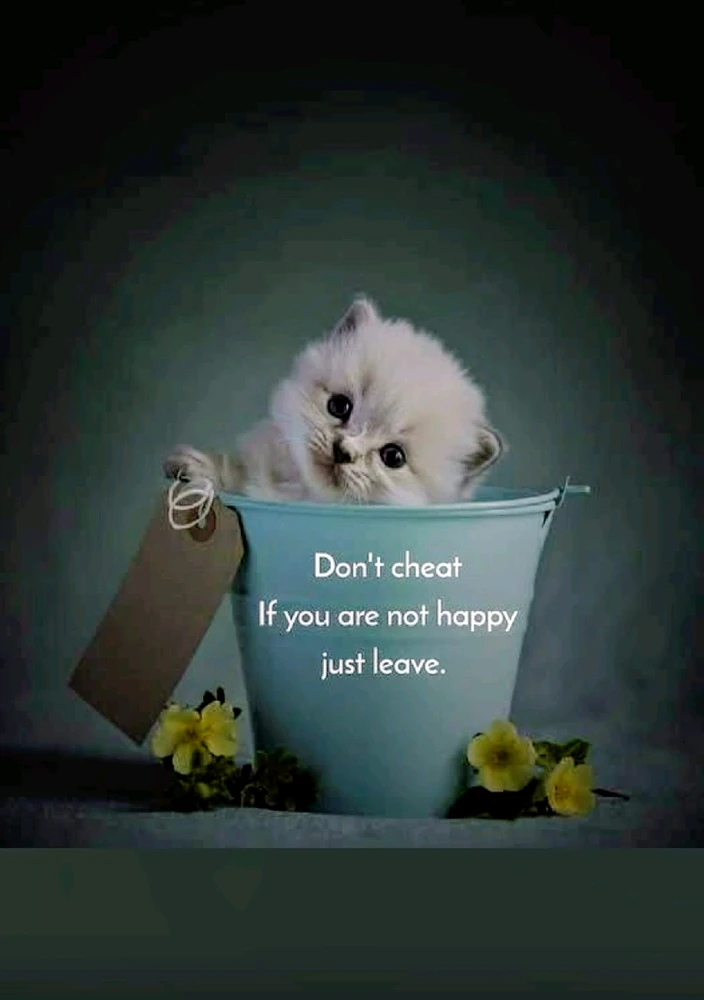 GIF uploaded by Jann