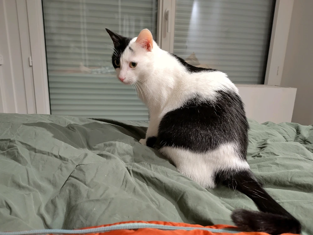 GIF ajouté par Benoit