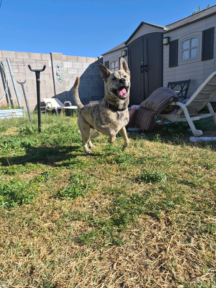 Image uploaded by Leilani