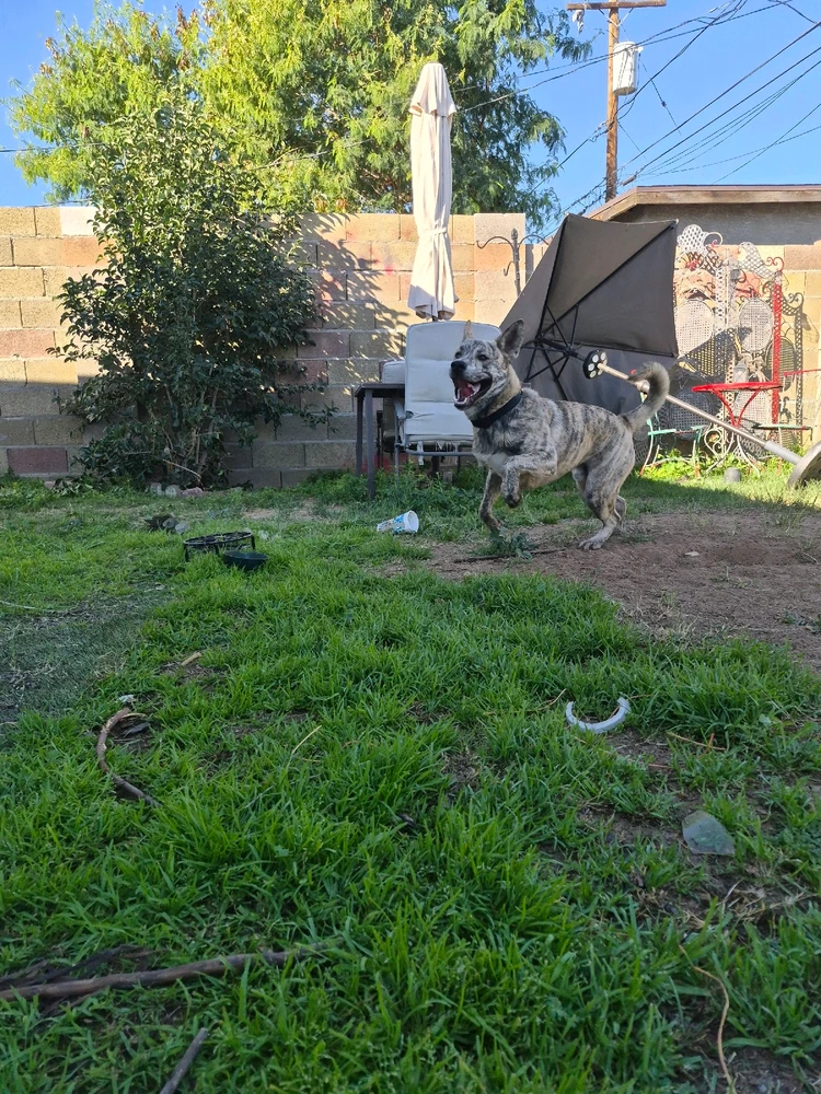 Image uploaded by Leilani