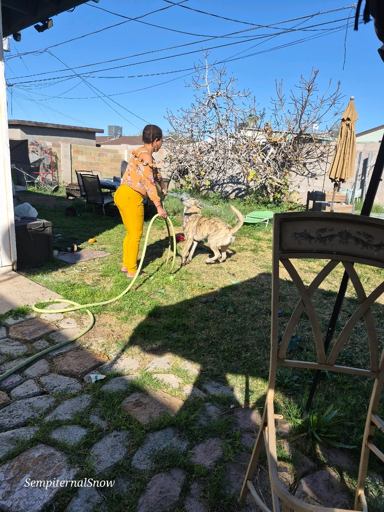 Image uploaded by Leilani