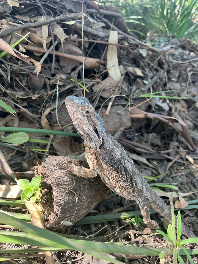 Image uploaded by Ivan