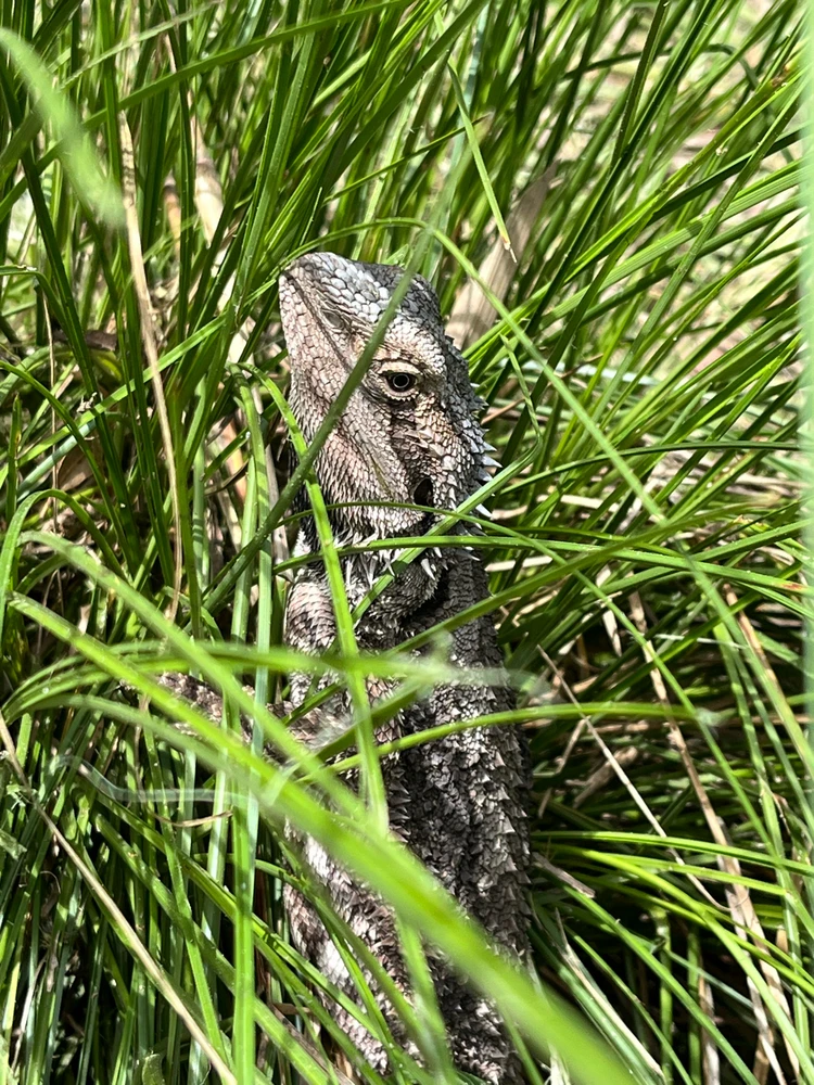 Image uploaded by Ivan